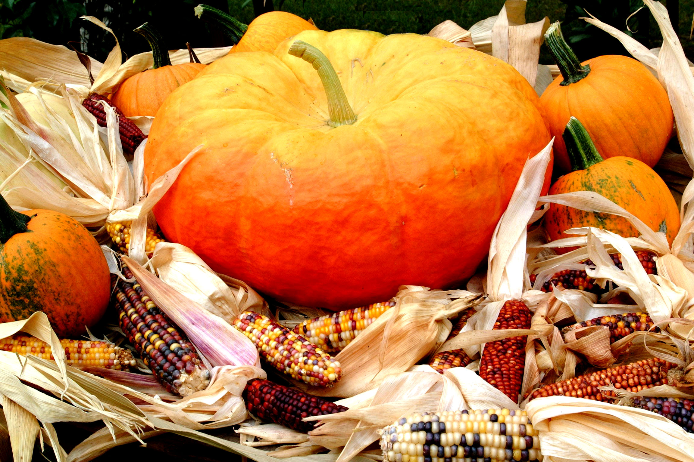 Fall Vegetables